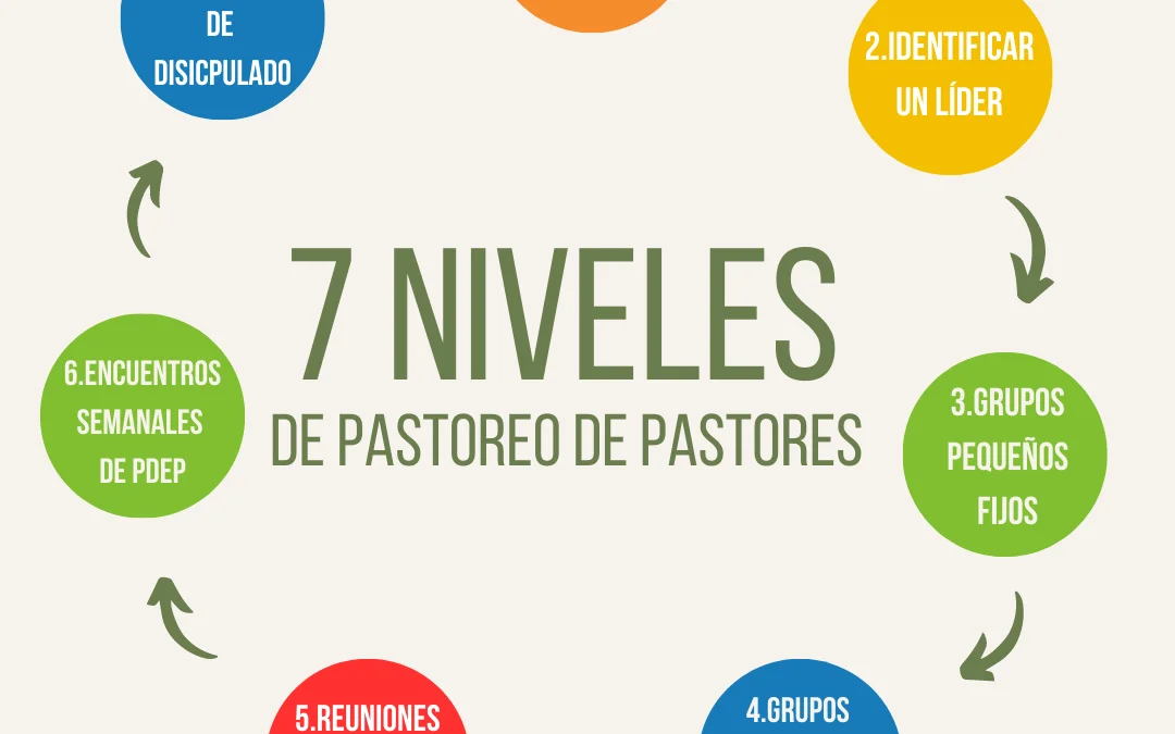 Siete niveles de Pastoreo de Pastores en una Asociación de Pastores