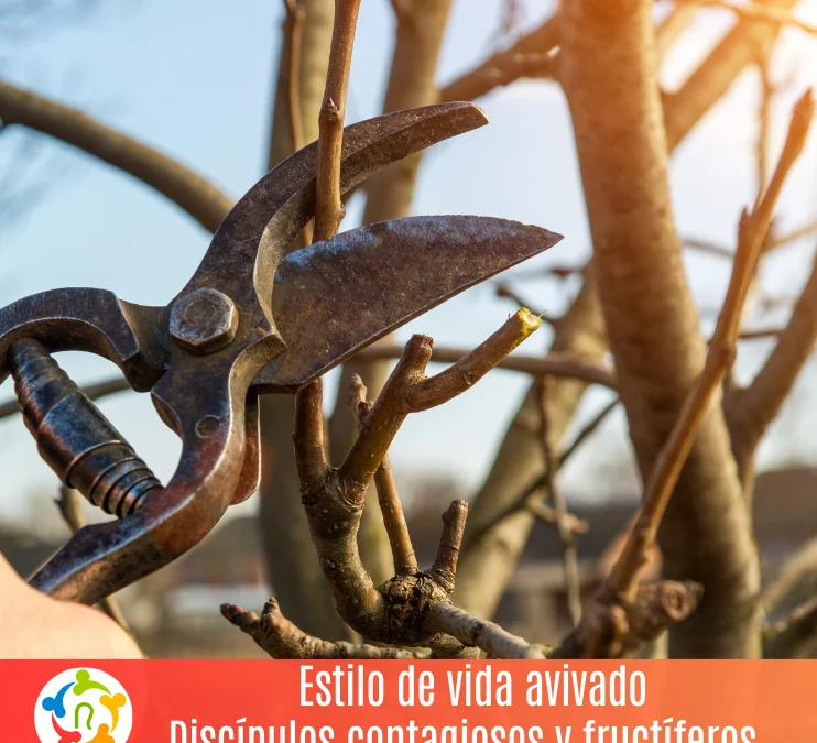 Estilo de vida avivado Discípulos contagiosos y fructíferos