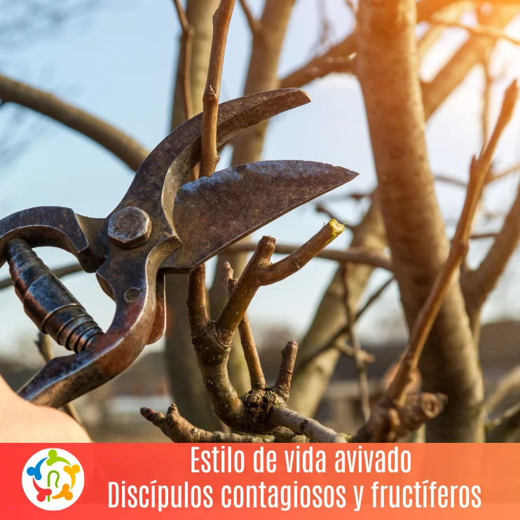 Estilo de vida avivado Discípulos contagiosos y fructíferos